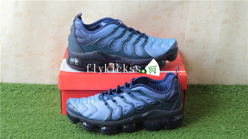 Nike Vapormax Plus Dark Blue